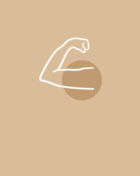 Brazo con Hombro